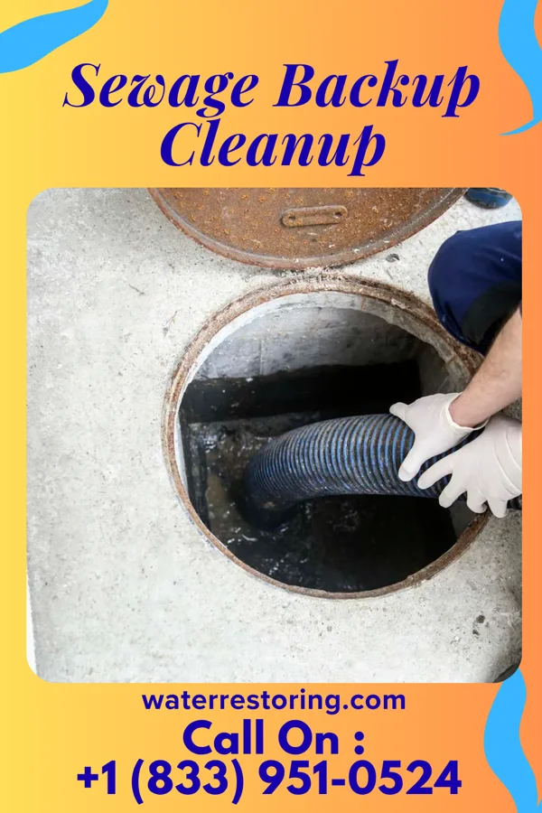 Sewage Backup Cleanup in Rice Lake, WI