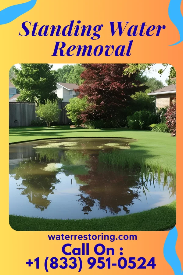 Standing Water Removal in Rice Lake, WI